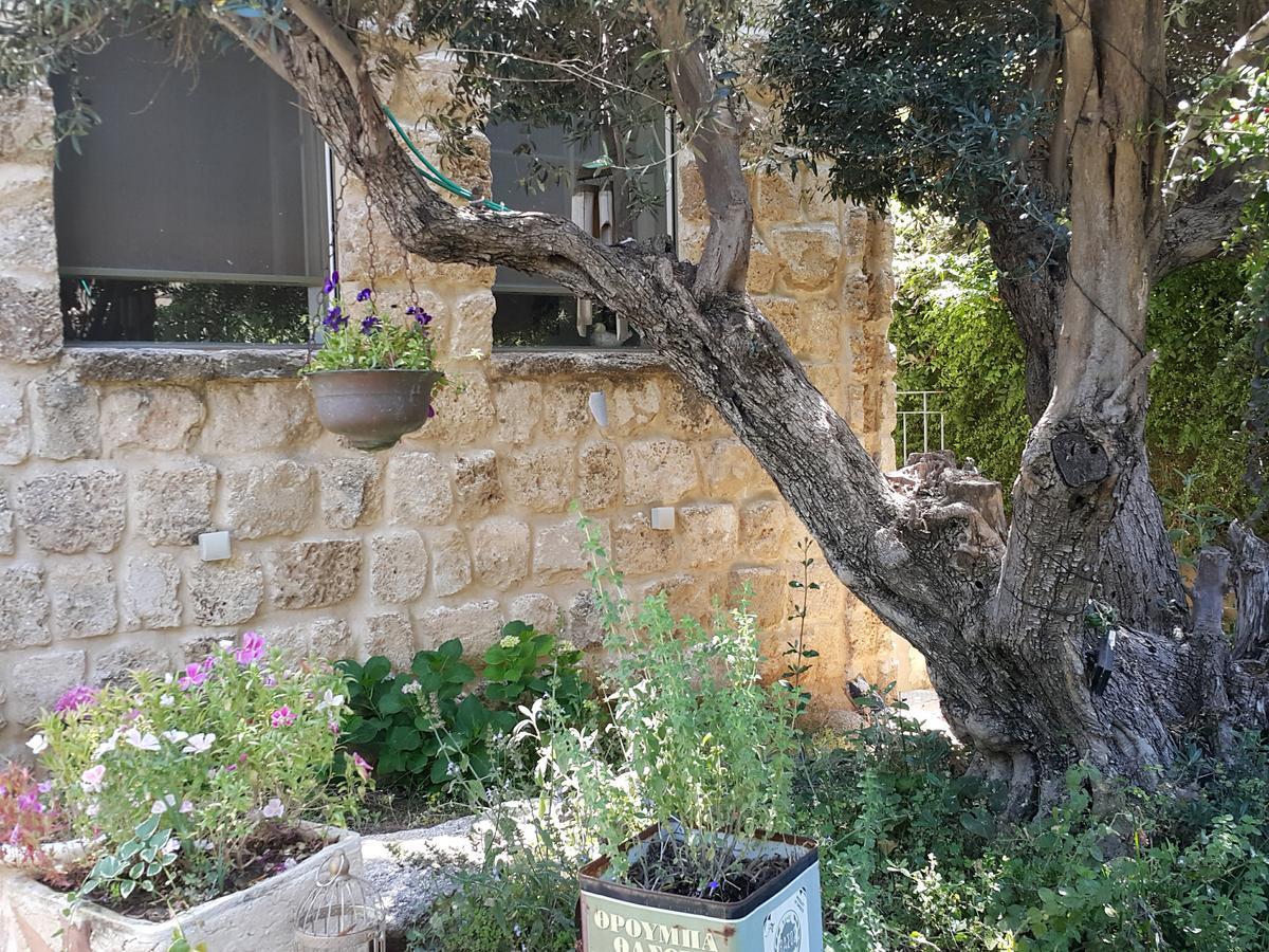 The House Of Taly & Erez Hotel Netaim Luaran gambar