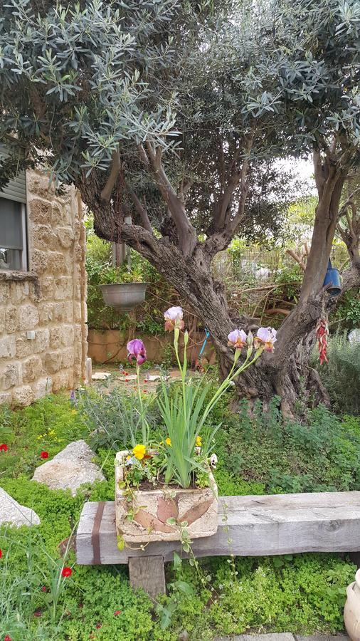 The House Of Taly & Erez Hotel Netaim Luaran gambar