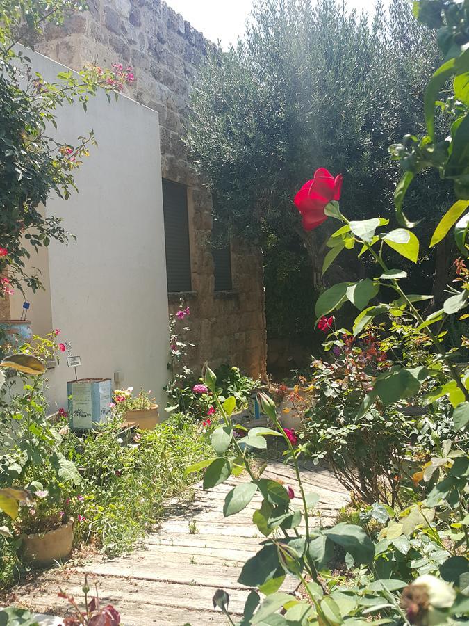 The House Of Taly & Erez Hotel Netaim Luaran gambar