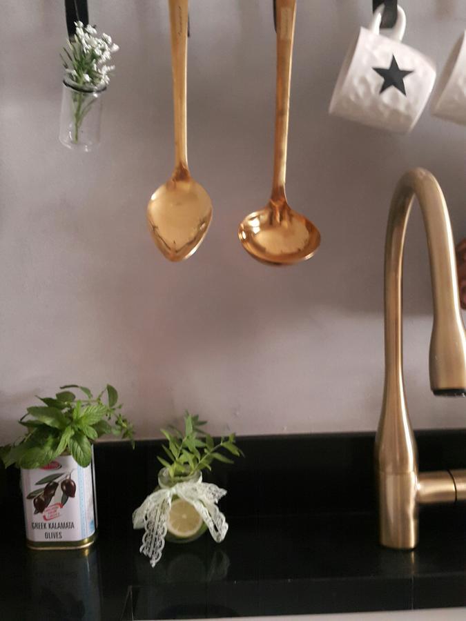 The House Of Taly & Erez Hotel Netaim Luaran gambar