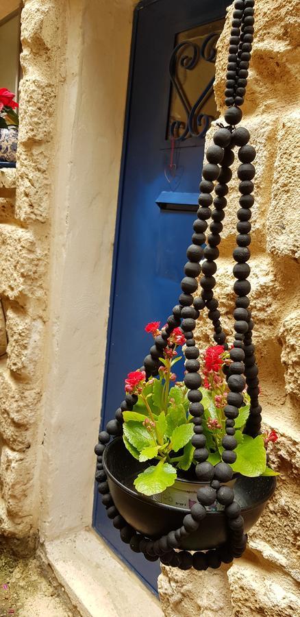 The House Of Taly & Erez Hotel Netaim Luaran gambar